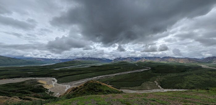 Denali McKinley road