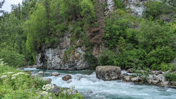 Little Susitna River