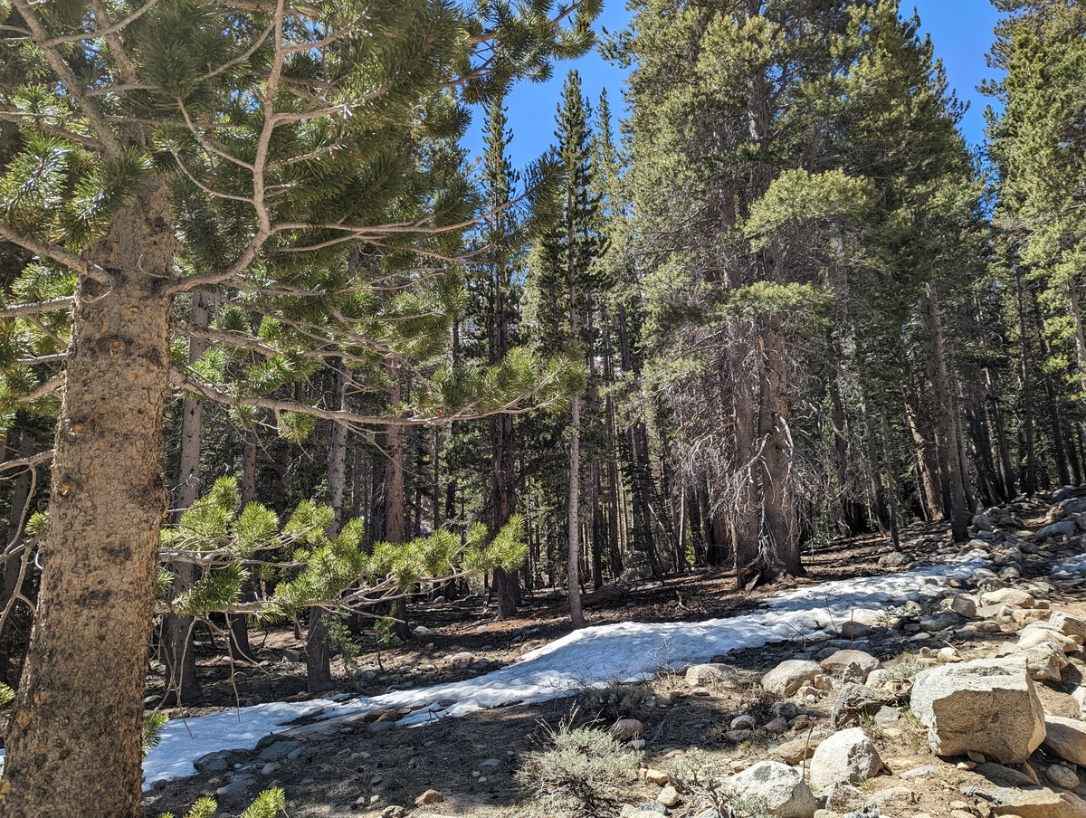 Snow on the Big Pine Lakes trail