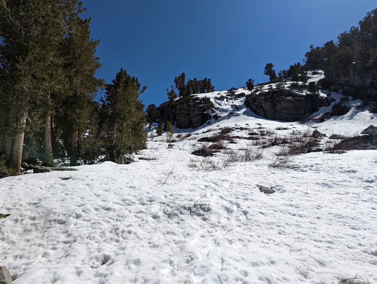 Trail to Sam Mack Meadows covered in snow