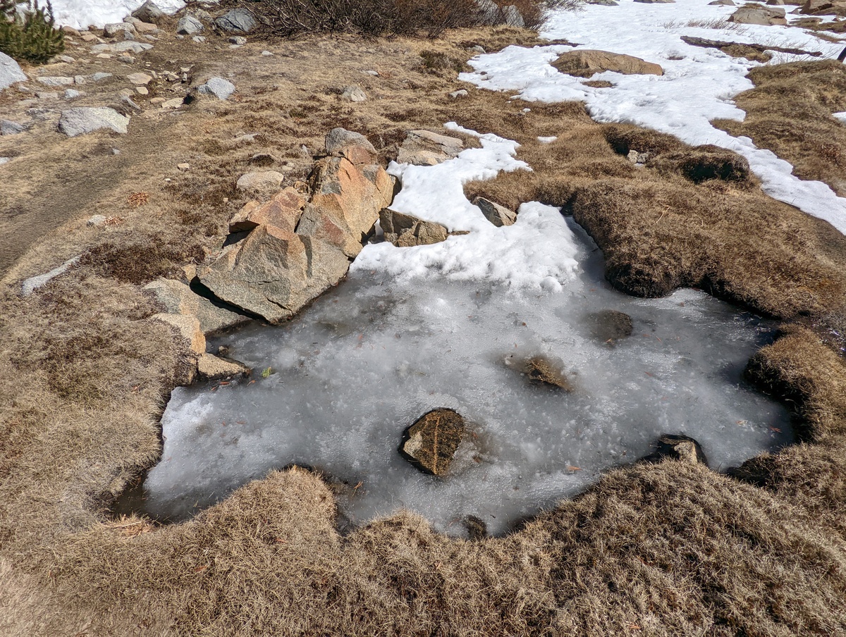 Frozen water at the Sam Mack Meadows