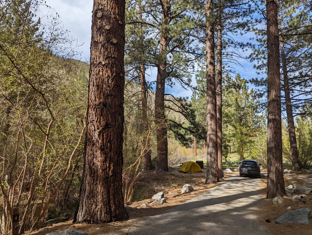 Campsite in Big Pine Lakes