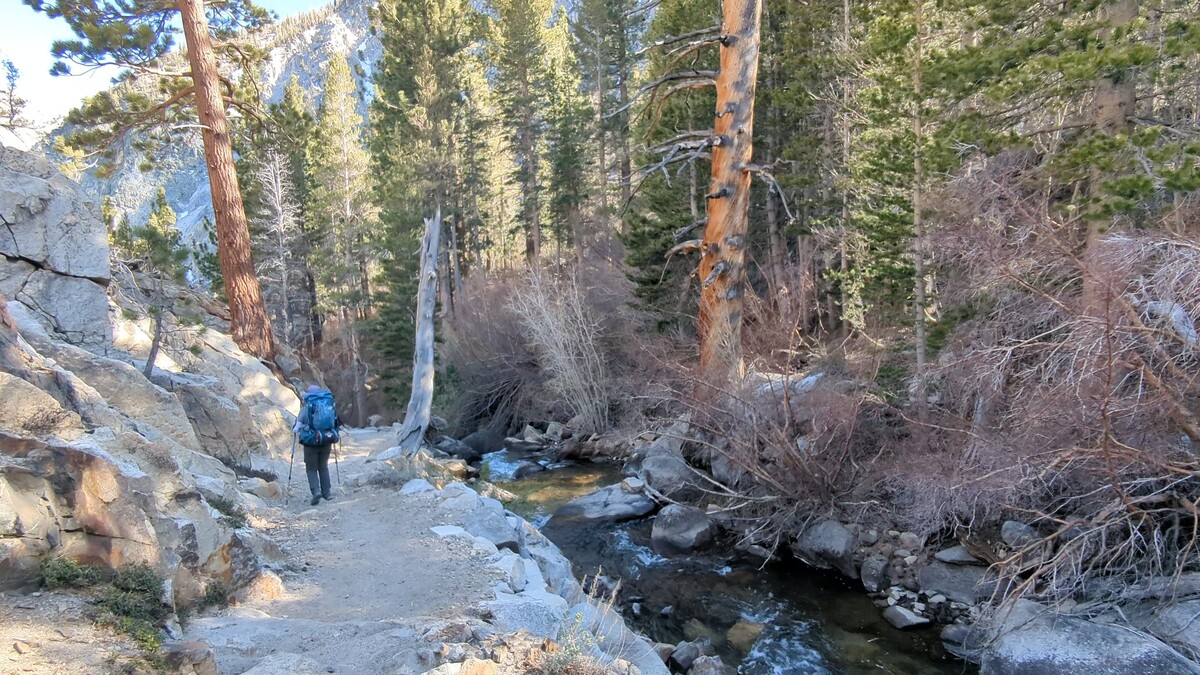 Hiking back