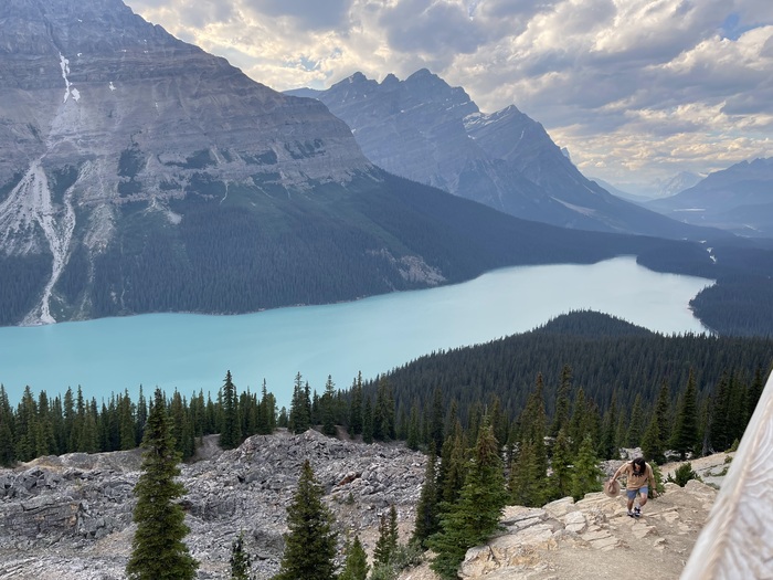 Peyto Lake