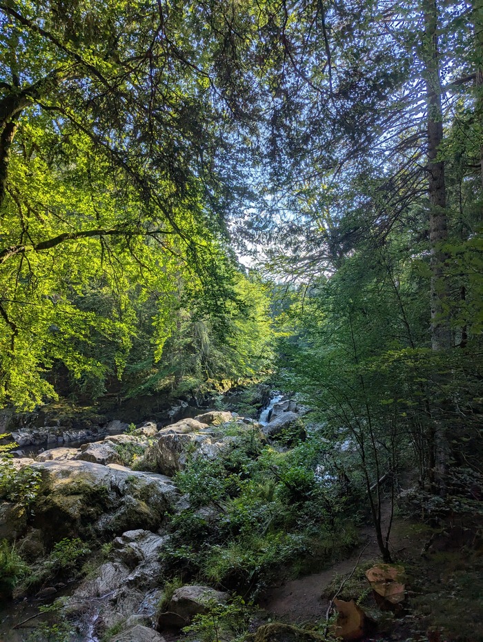 The Hermitage, Dunkeld