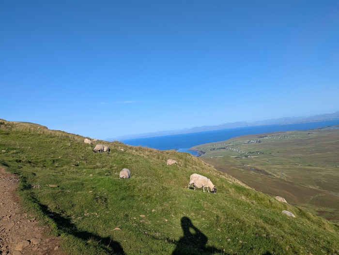Sheep on the Quiraing